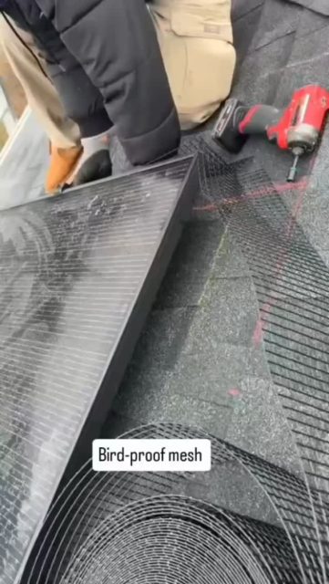 NYC homeowners, protect your solar panels NOW ☀️
Stop birds 🐦 & waste buildup underneath
FREE cleaning included! 💧
📲 Contact us today!  WhatsApp: 929-540-8672

#NYC #NewYorkCity #SolarPanels #SolarNYC #CleanEnergy HomeImprovement BirdProofing NYCHomes