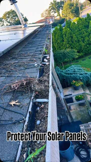 Cleaning • Maintenance • Bird Proofing #birdproofing #solarpanelmaintenance #newyork #reelviral #viralvídeo