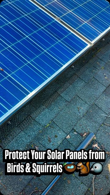 Birds love nesting under solar panels… homeowners don’t. 🐦❌ Today we’re installing heavy-duty metal bird guards to keep birds and squirrels out, protect the wiring, and help extend the life of the solar system. Another clean, professional installation by VAAR Cleaning & Maintenance Services.  #solarpanelmaintenance #ʀᴇᴇʟᴠɪʀᴀʟ #nj #longislandnyc #stateisland thank you @ty_g80_og