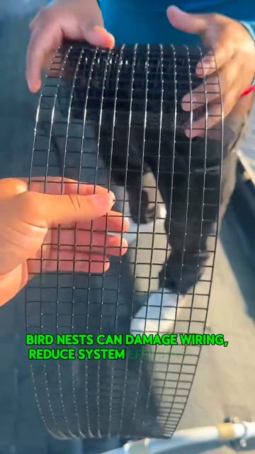 Protect Your Solar Panels from Birds🪺🌞🐦✔️. #PigeonProofing #NYCSolar #NYCHomeowners #BrooklynNY #QueensNY
