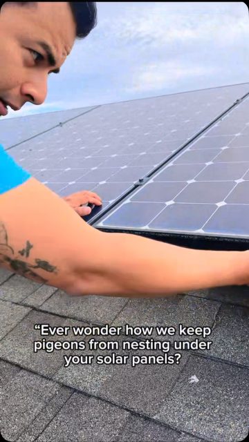 ☀️ Clean Panels. Protected Investment! 🐦🚫

Professional solar panel cleaning & bird-proofing mesh installation. Keep your panels clean and pigeons out! 🏡✨

📍 Serving Levittown, Nassau County & Long Island, NY.

📲 929-540-8672
💬 DM us for a FREE estimate!

#LevittownNY #NassauCounty #LongIslandNY #SolarPanelCleaning #SolarBirdProofing PigeonProofing SolarPanelProtection LongIslandHomeowners VAARCleaning