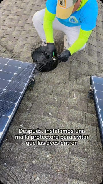 ☀️ ¡Paneles limpios, inversión protegida! 🐦🚫

Limpieza profesional de paneles solares e instalación de malla protectora contra aves. ¡Mantén tus paneles limpios y evita que las palomas aniden debajo! 🏡✨

📍 Servicio en Levittown, Nassau County y Long Island, NY.

📲 929-540-8672
💬 ¡Envíanos un mensaje para tu presupuesto GRATIS!

#LevittownNY #NassauCounty #LongIslandNY #SolarPanelCleaning #SolarBirdProofing PigeonProofing SolarPanelProtection LongIslandHomeowners VAARCleaning